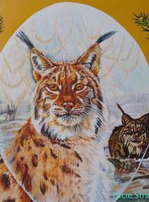 Leopardí obrazy